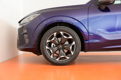 Cupra Terramar Gebrauchtwagen