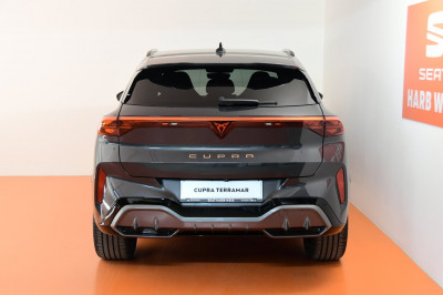 Cupra Terramar Gebrauchtwagen