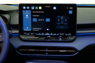 Cupra Terramar Gebrauchtwagen