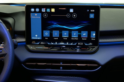 Cupra Terramar Gebrauchtwagen