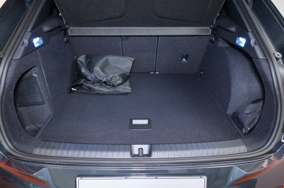 Cupra Terramar Gebrauchtwagen