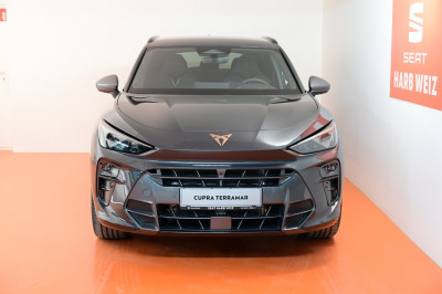 Cupra Terramar Gebrauchtwagen