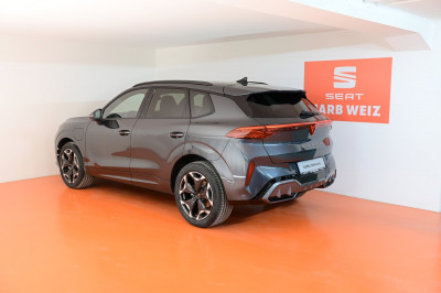 Cupra Terramar Gebrauchtwagen