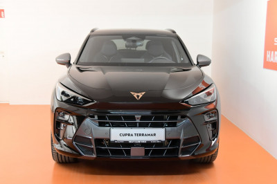 Cupra Terramar Gebrauchtwagen