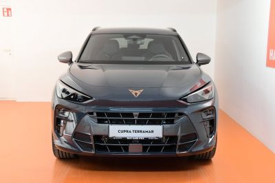 Cupra Terramar Gebrauchtwagen