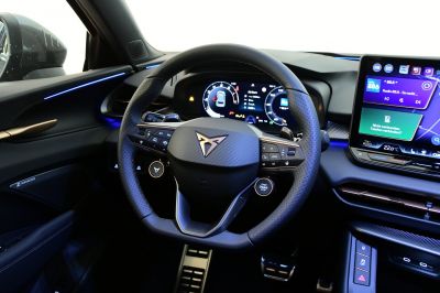 Cupra Terramar Gebrauchtwagen