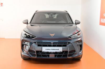 Cupra Terramar Gebrauchtwagen