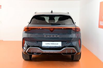 Cupra Terramar Gebrauchtwagen