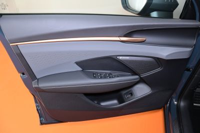 Cupra Terramar Gebrauchtwagen
