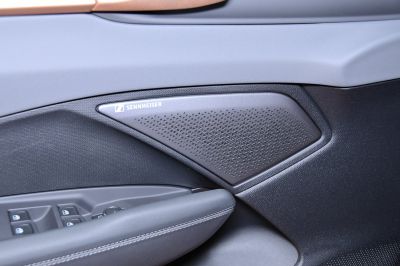 Cupra Terramar Gebrauchtwagen