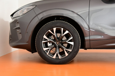 Cupra Terramar Gebrauchtwagen Cupra Terramar Gebrauchtwagen