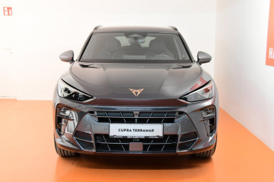 Cupra Terramar Gebrauchtwagen Cupra Terramar Gebrauchtwagen