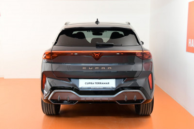 Cupra Terramar Gebrauchtwagen Cupra Terramar Gebrauchtwagen