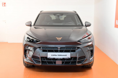 Cupra Terramar Gebrauchtwagen