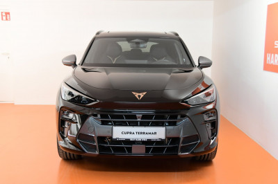 Cupra Terramar Gebrauchtwagen