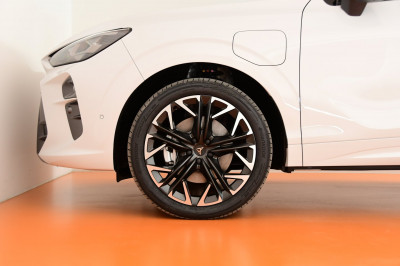 Cupra Terramar Gebrauchtwagen