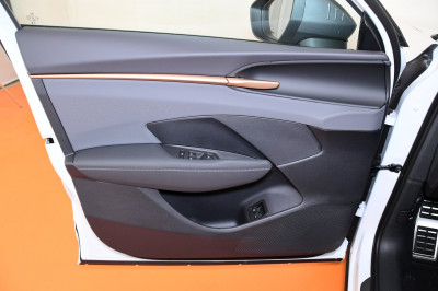 Cupra Terramar Gebrauchtwagen