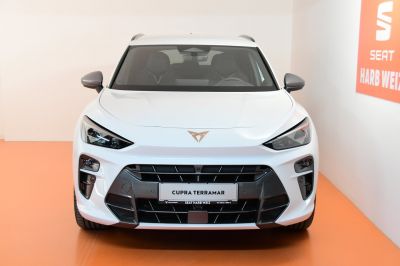 Cupra Terramar Gebrauchtwagen