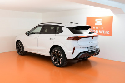 Cupra Terramar Gebrauchtwagen