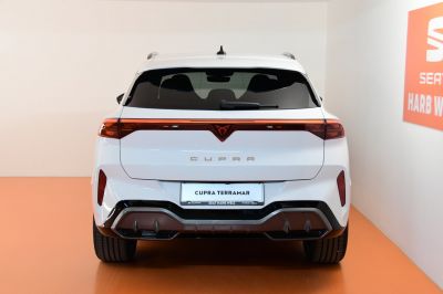 Cupra Terramar Gebrauchtwagen
