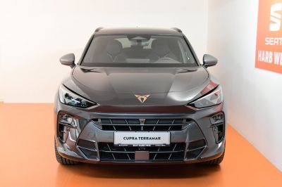 Cupra Terramar Gebrauchtwagen