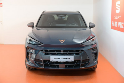 Cupra Terramar Gebrauchtwagen Cupra Terramar Gebrauchtwagen