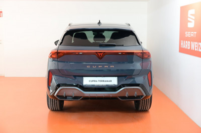 Cupra Terramar Gebrauchtwagen Cupra Terramar Gebrauchtwagen
