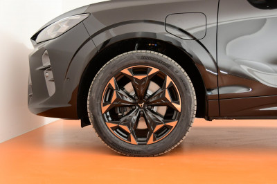 Cupra Terramar Gebrauchtwagen