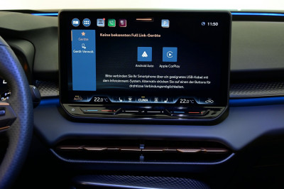 Cupra Terramar Gebrauchtwagen