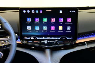 Cupra Tavascan Gebrauchtwagen