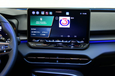 Cupra Terramar Gebrauchtwagen