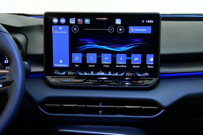 Cupra Terramar Gebrauchtwagen