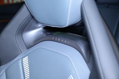 Cupra Tavascan Gebrauchtwagen