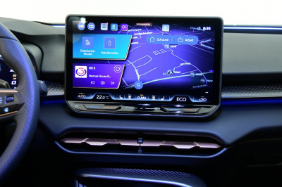 Cupra Terramar Gebrauchtwagen