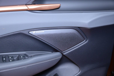 Cupra Terramar Gebrauchtwagen