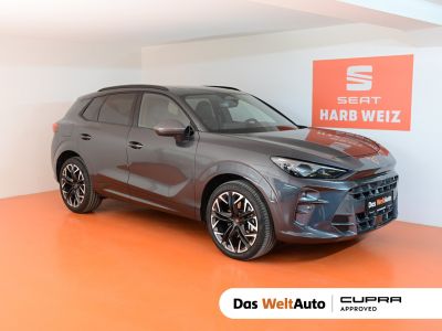 Cupra Terramar Gebrauchtwagen Cupra Terramar Gebrauchtwagen