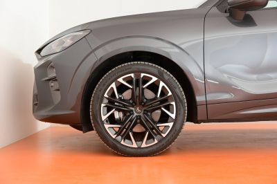Cupra Terramar Gebrauchtwagen Cupra Terramar Gebrauchtwagen