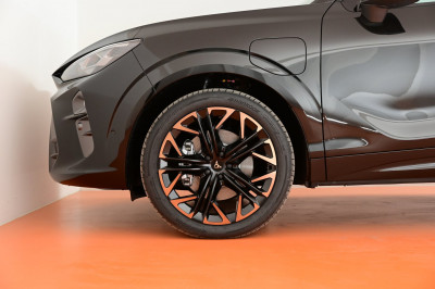 Cupra Terramar Gebrauchtwagen