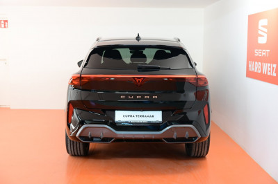 Cupra Terramar Gebrauchtwagen