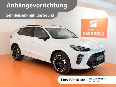 Cupra Terramar Gebrauchtwagen