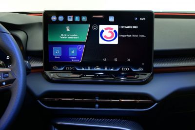 Cupra Terramar Gebrauchtwagen