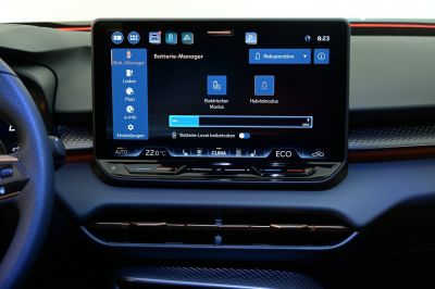 Cupra Terramar Gebrauchtwagen