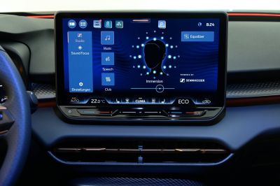 Cupra Terramar Gebrauchtwagen