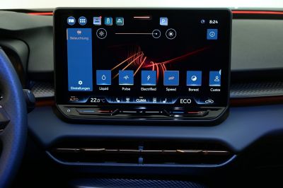 Cupra Terramar Gebrauchtwagen
