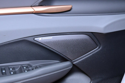 Cupra Terramar Gebrauchtwagen