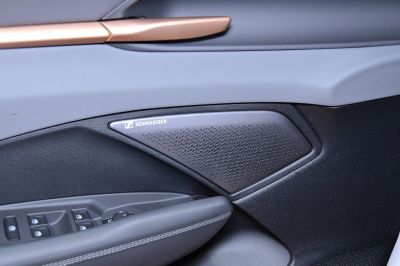 Cupra Terramar Gebrauchtwagen