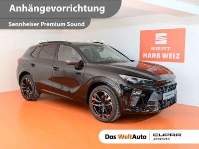 Cupra Terramar Gebrauchtwagen