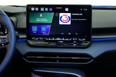 Cupra Terramar Gebrauchtwagen