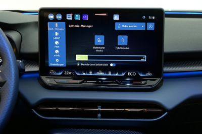 Cupra Terramar Gebrauchtwagen