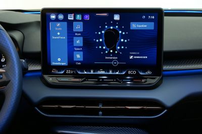 Cupra Terramar Gebrauchtwagen